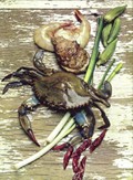 American Cooking: Creole & Acadian (Foods of the World)