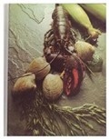 American Cooking: New England (Foods of the World)