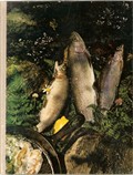 American Cooking: The Northwest (Foods of the World)