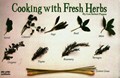 Cooking With Fresh Herbs